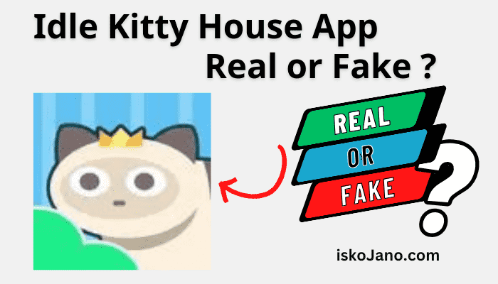 Idle kitty House App Real or Fake